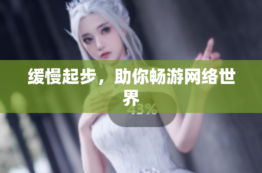 缓慢起步，助你畅游网络世界