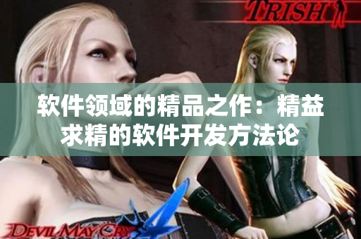 软件领域的精品之作：精益求精的软件开发方法论