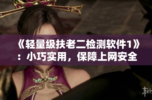 《轻量级扶老二检测软件1》：小巧实用，保障上网安全