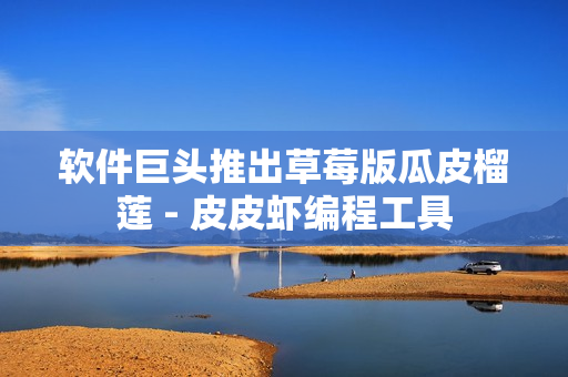 软件巨头推出草莓版瓜皮榴莲 - 皮皮虾编程工具
