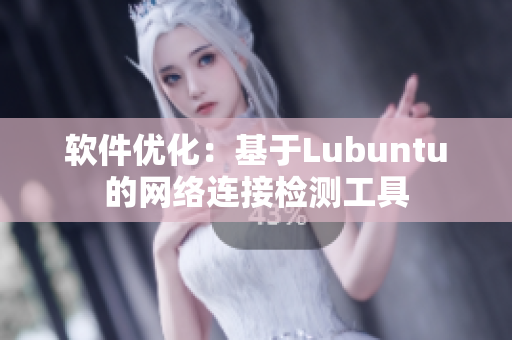 软件优化：基于Lubuntu的网络连接检测工具