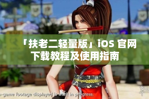 「扶老二轻量版」iOS 官网下载教程及使用指南