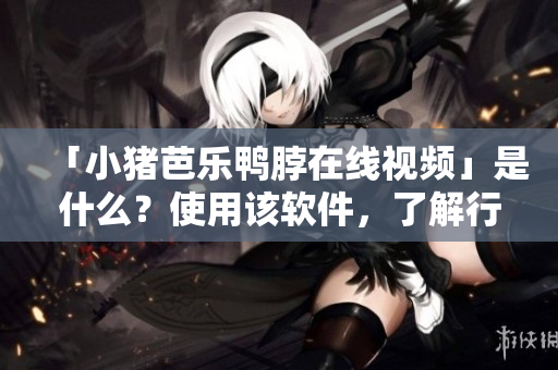 「小猪芭乐鸭脖在线视频」是什么？使用该软件，了解行业全貌！