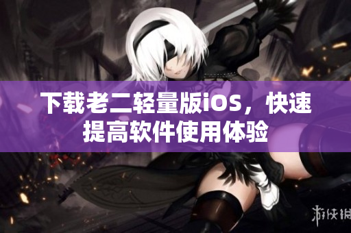 下载老二轻量版iOS，快速提高软件使用体验