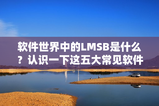 软件世界中的LMSB是什么？认识一下这五大常见软件术语！