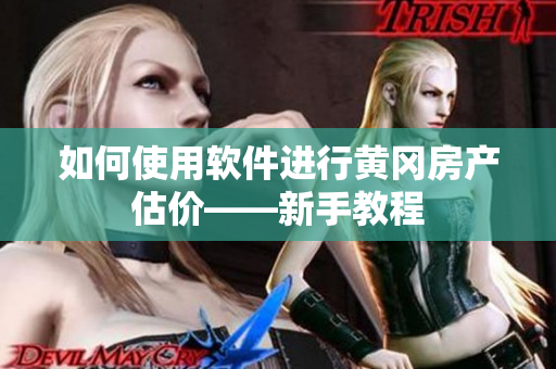 如何使用软件进行黄冈房产估价——新手教程