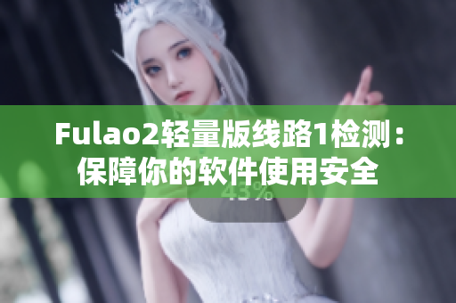 Fulao2轻量版线路1检测：保障你的软件使用安全