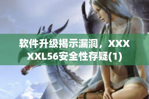 软件升级揭示漏洞，XXXXXL56安全性存疑(1)