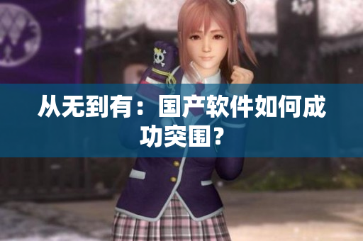从无到有：国产软件如何成功突围？