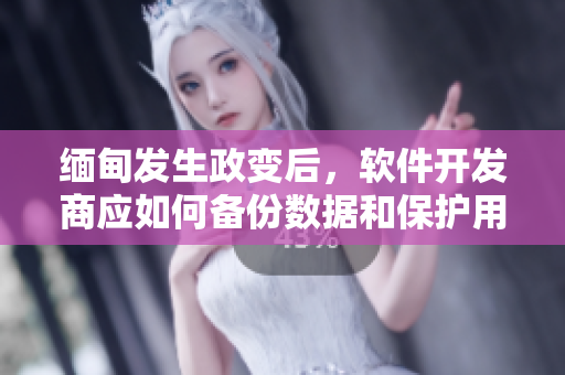 缅甸发生政变后，软件开发商应如何备份数据和保护用户隐私