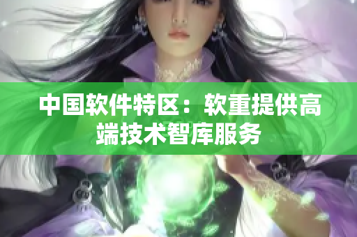 中国软件特区：软重提供高端技术智库服务