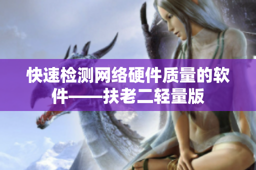 快速检测网络硬件质量的软件——扶老二轻量版