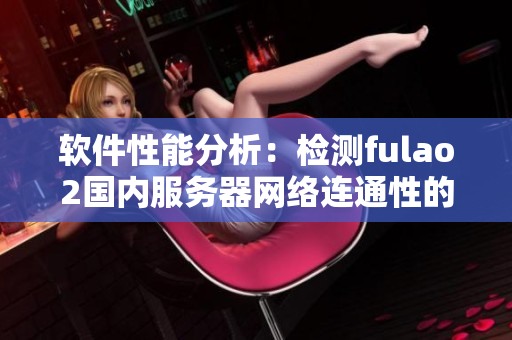 软件性能分析：检测fulao2国内服务器网络连通性的准确性