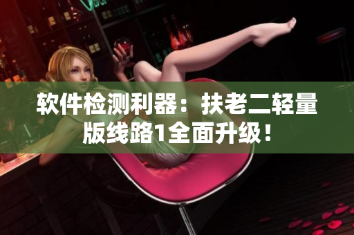 软件检测利器：扶老二轻量版线路1全面升级！