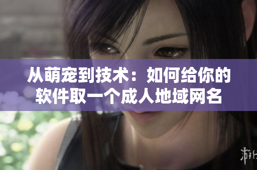 从萌宠到技术：如何给你的软件取一个成人地域网名