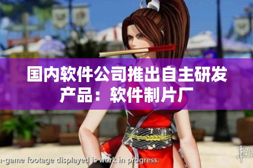 国内软件公司推出自主研发产品：软件制片厂