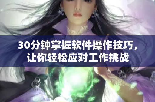 30分钟掌握软件操作技巧，让你轻松应对工作挑战