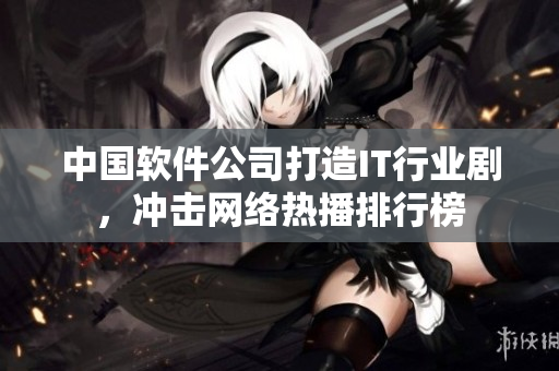 中国软件公司打造IT行业剧，冲击网络热播排行榜