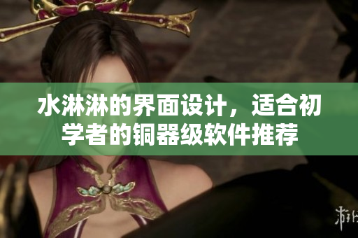 水淋淋的界面设计，适合初学者的铜器级软件推荐