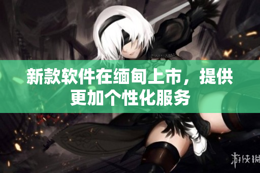 新款软件在缅甸上市，提供更加个性化服务