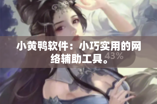 小黄鸭软件：小巧实用的网络辅助工具。