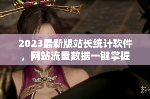 2023最新版站长统计软件，网站流量数据一键掌握