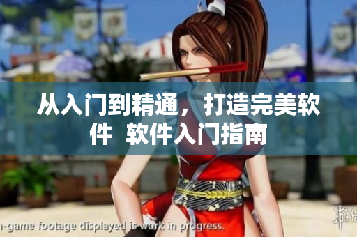 从入门到精通，打造完美软件  软件入门指南
