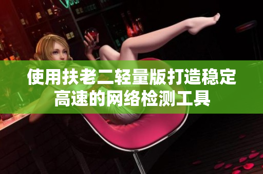 使用扶老二轻量版打造稳定高速的网络检测工具