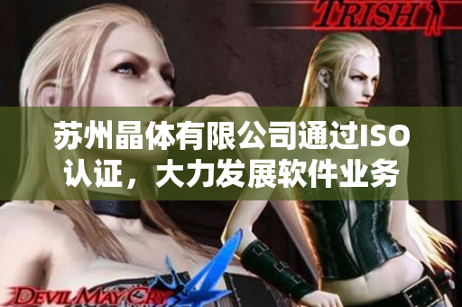 苏州晶体有限公司通过ISO认证，大力发展软件业务