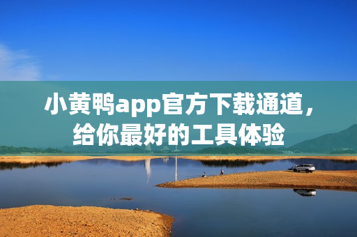 小黄鸭app官方下载通道，给你最好的工具体验