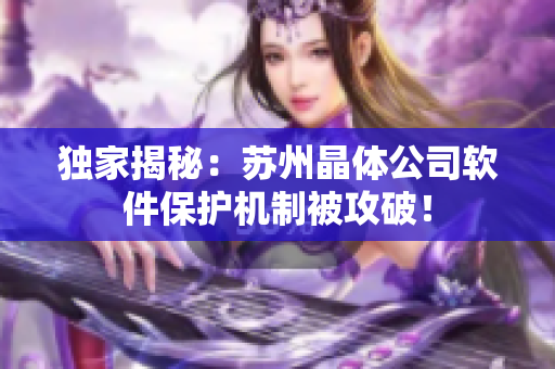 独家揭秘：苏州晶体公司软件保护机制被攻破！