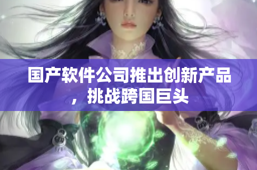 国产软件公司推出创新产品，挑战跨国巨头