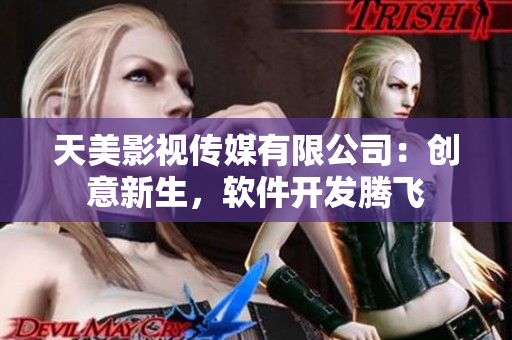 天美影视传媒有限公司：创意新生，软件开发腾飞