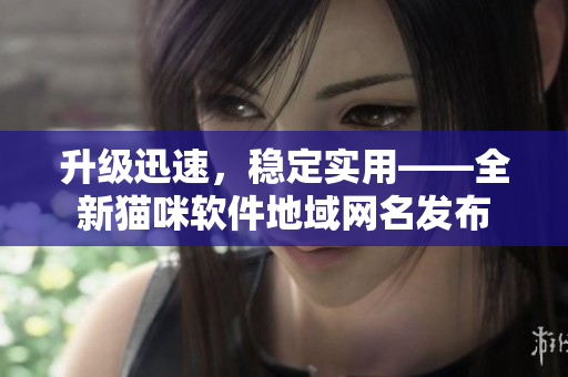 升级迅速，稳定实用——全新猫咪软件地域网名发布
