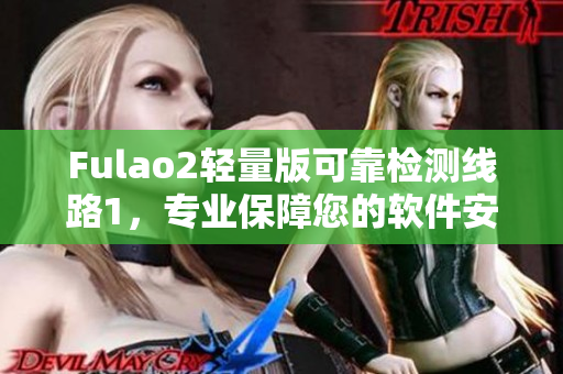 Fulao2轻量版可靠检测线路1，专业保障您的软件安全