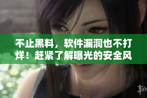不止黑料，软件漏洞也不打烊！赶紧了解曝光的安全风险！