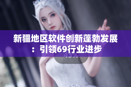 新疆地区软件创新蓬勃发展：引领69行业进步