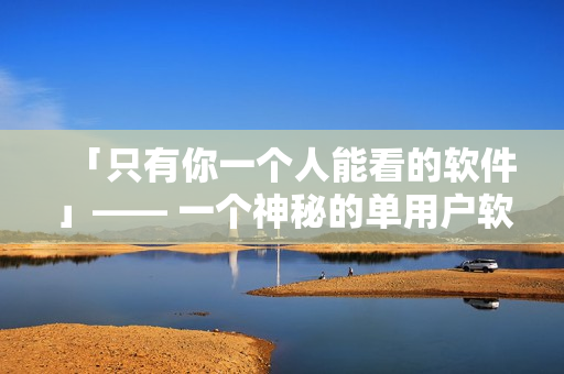 「只有你一个人能看的软件」—— 一个神秘的单用户软件