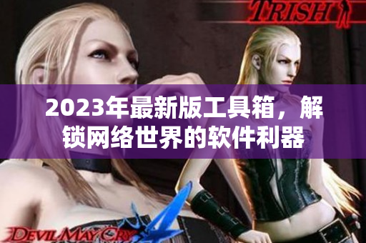 2023年最新版工具箱，解锁网络世界的软件利器