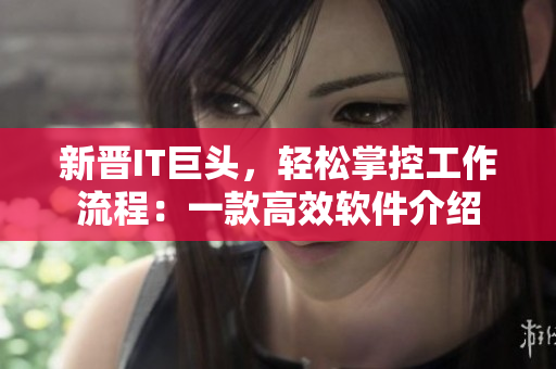 新晋IT巨头，轻松掌控工作流程：一款高效软件介绍