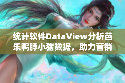 统计软件DataView分析芭乐鸭脖小猪数据，助力营销决策
