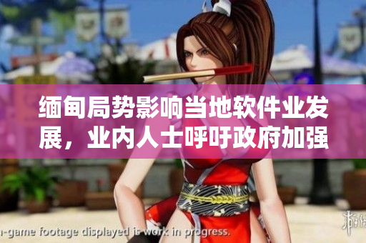 缅甸局势影响当地软件业发展，业内人士呼吁政府加强支持力度