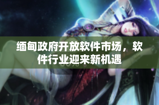 缅甸政府开放软件市场，软件行业迎来新机遇