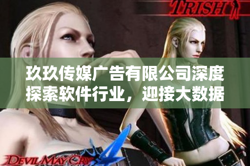 玖玖传媒广告有限公司深度探索软件行业，迎接大数据时代