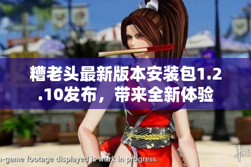 糟老头最新版本安装包1.2.10发布，带来全新体验