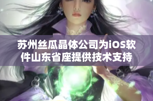 苏州丝瓜晶体公司为iOS软件山东省座提供技术支持
