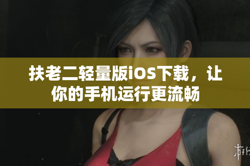 扶老二轻量版iOS下载，让你的手机运行更流畅