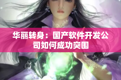 华丽转身：国产软件开发公司如何成功突围
