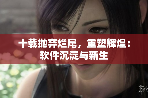 十载抛弃烂尾，重塑辉煌：软件沉淀与新生