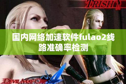 国内网络加速软件fulao2线路准确率检测